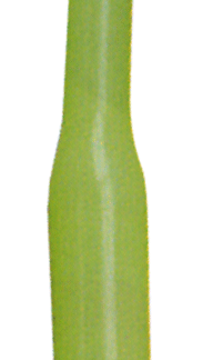 Protector Fluorescente